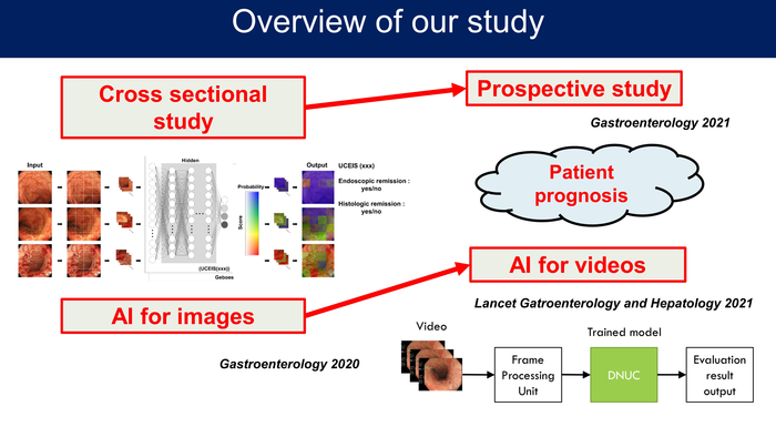 Overview of the present study
