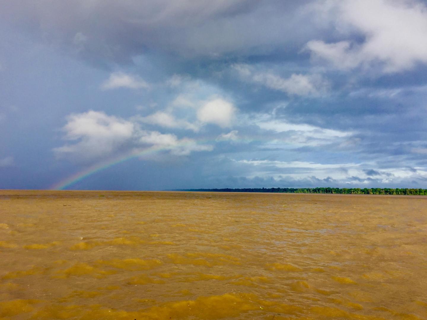 The Southern Channel of the Amazon River near Macapá during High Water