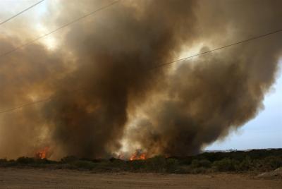 Fuels, Fire and Smoke