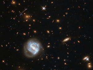 Galaxy Cluster