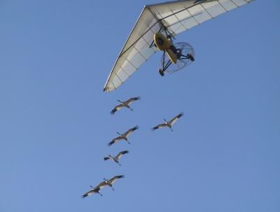 Flight Training: Follow that Ultralight