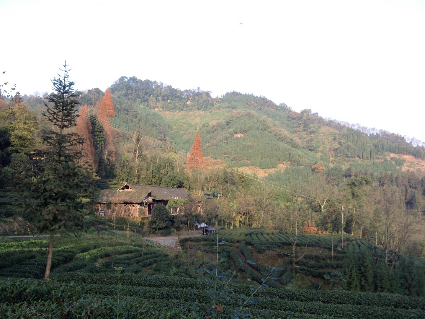 Collectively Owned Land in Sichuan Province, China
