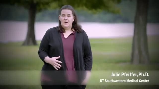 Julie Pfeiffer, Ph.D.