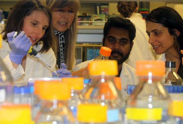 Gene Research Seeks Causes of Infertility