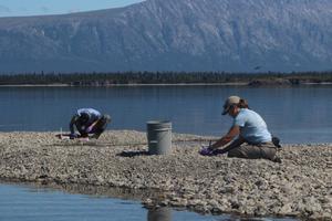 Researchers at Iliamna Lake