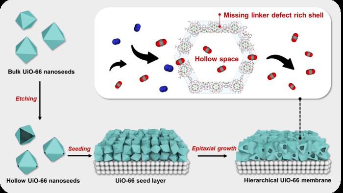 Schematic illustration of the preparation of hierarchical defect-rich UiO-66 membrane.