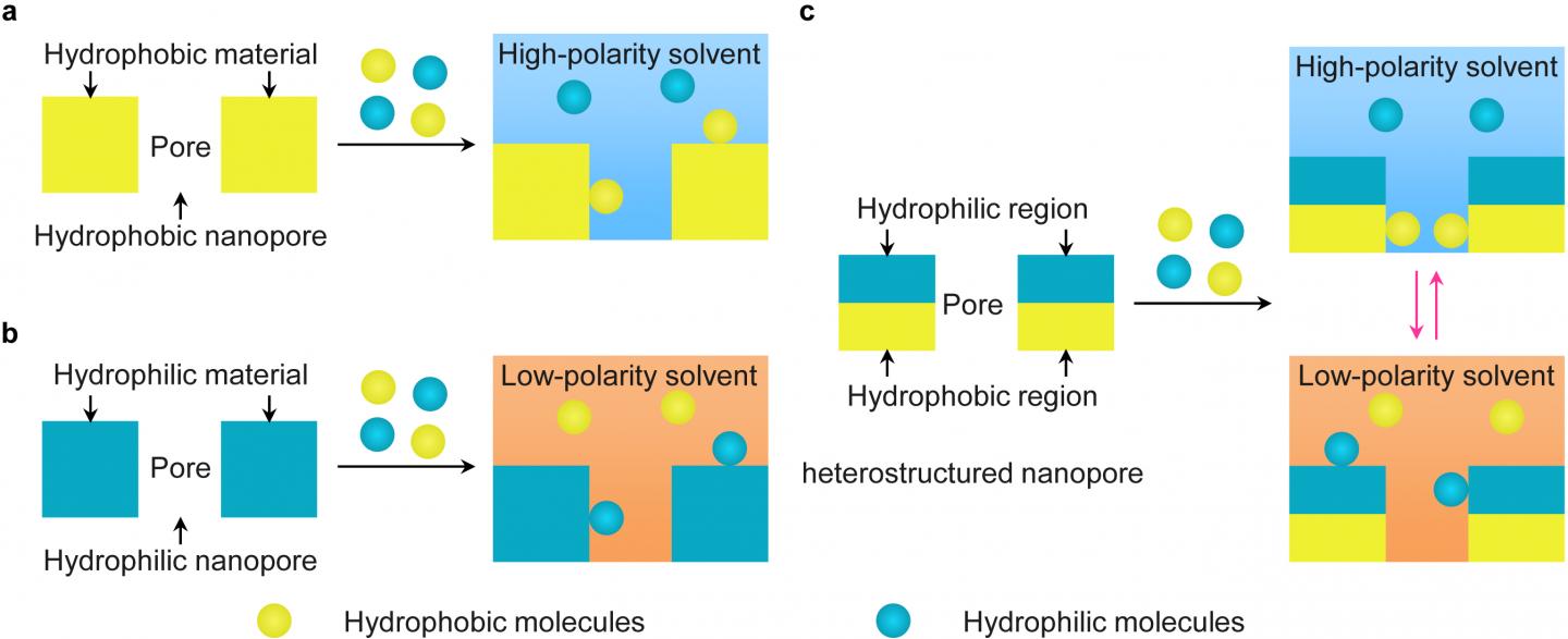 Design of Materials with Hydrophilic-Hydrophobic Heterostructured Nanopores for Solvent-Switched Mol