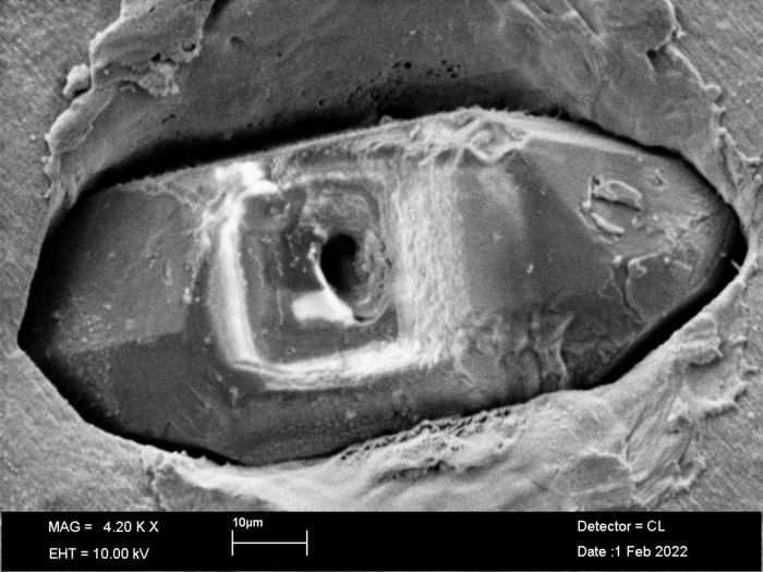 Ancient Magma Reveals Signs of Life