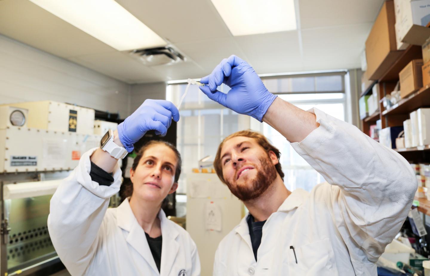 Alison McGuigan and Darren Rodenhizer, University of Toronto