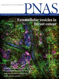 3D Image [VIDEO] | EurekAlert! Science News Releases