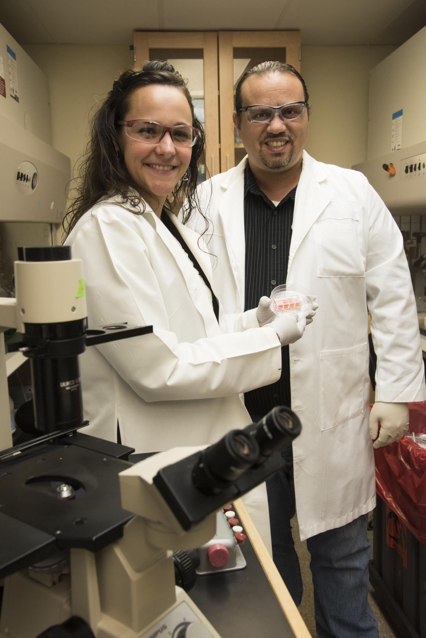 Pilar de la Puente, Ph.D. and Kareem Azab, Ph.D., Washington University School of Medicine