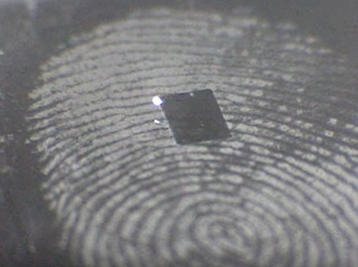 Crime Scene Fingerprint
