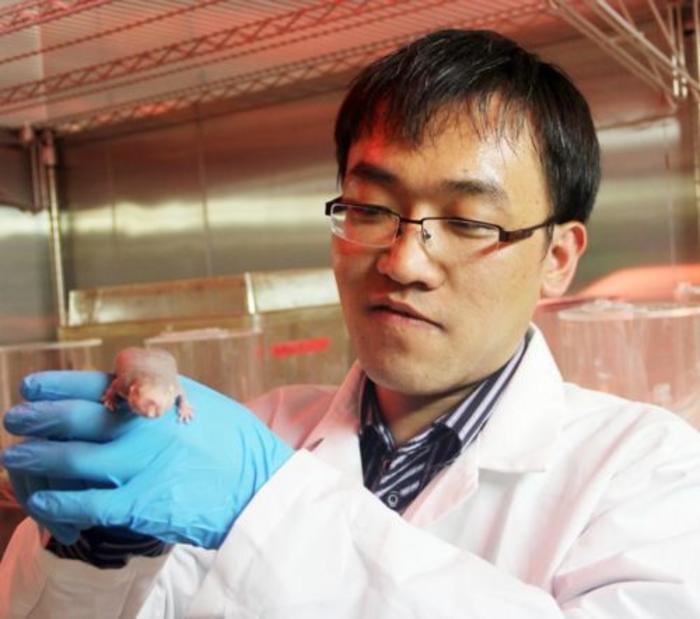 Xiao Tian, Ph.D.