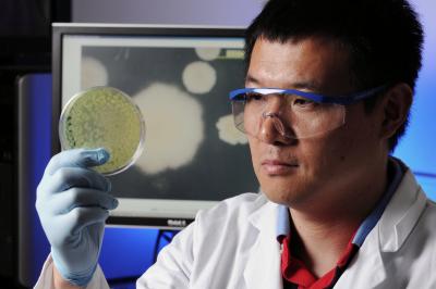  Lin Jiang, Georgia Institute of Technology