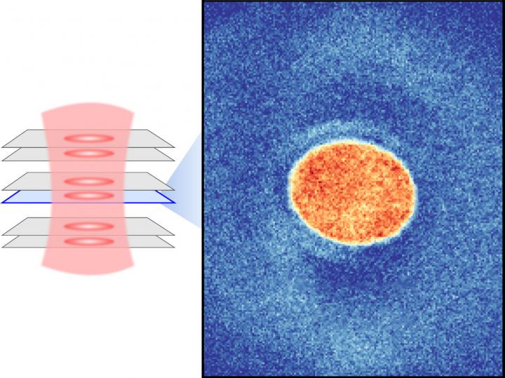 Bilayer system