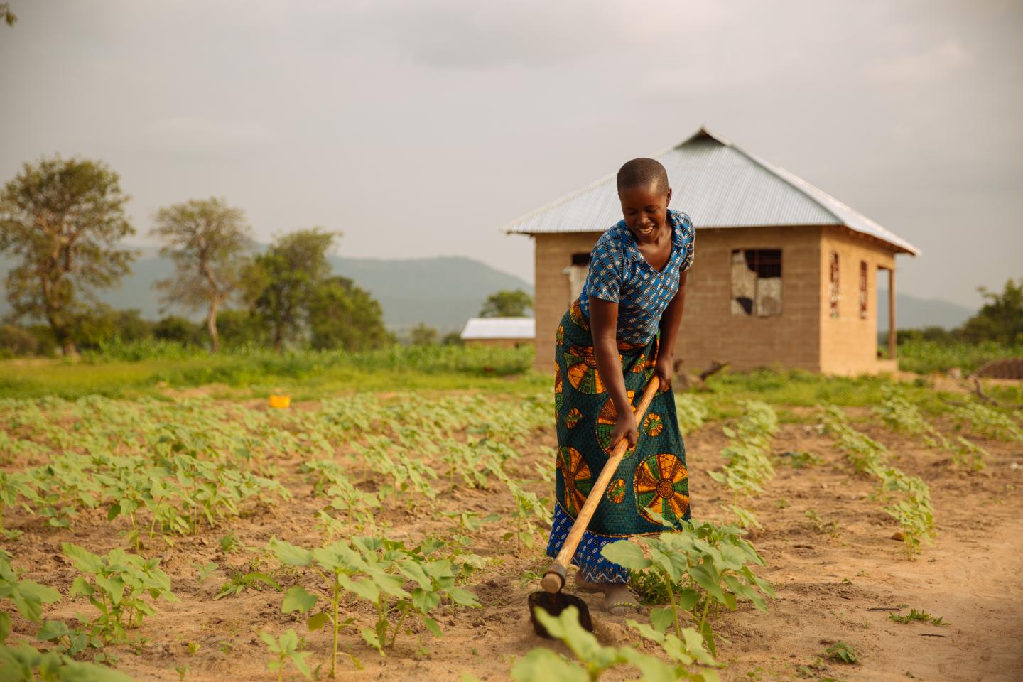 Woman Using a Hoe to Till the Soil on Small Tanzania Farm