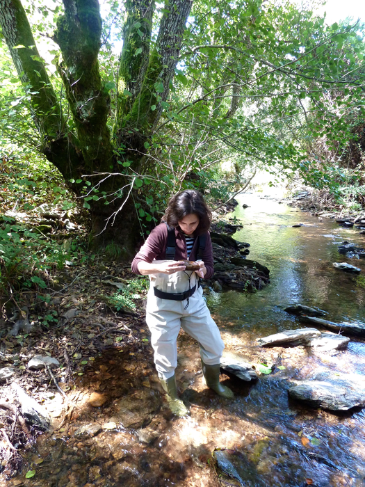 Studying the functioning of river ecosystems