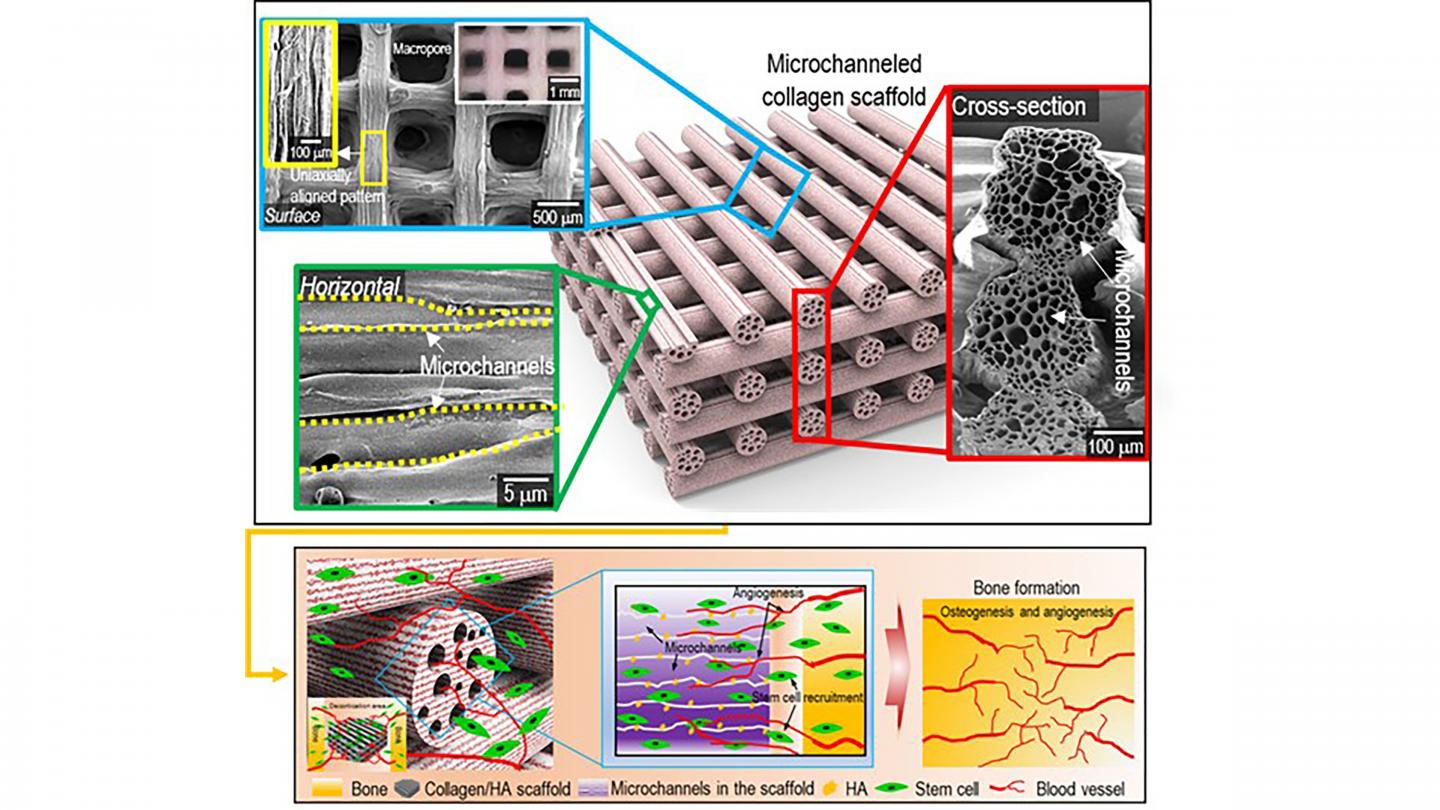 Surface, cross-sectional optical/SEM images showing the uniaxially aligned surface patterns and microchannels