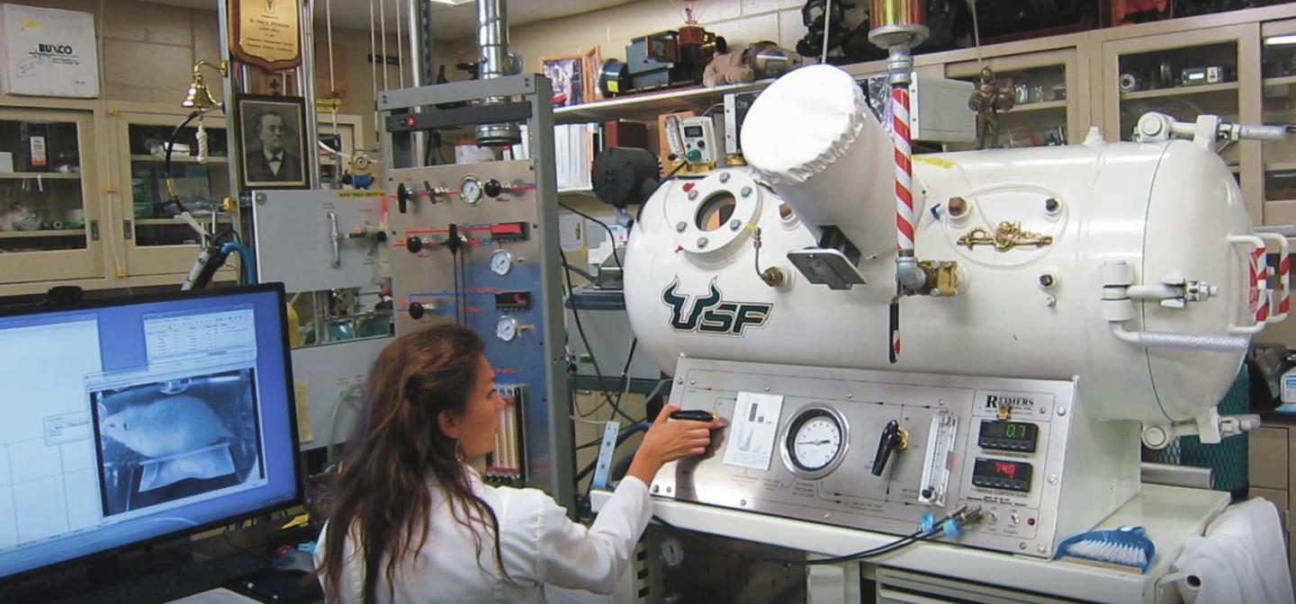 Hyperbaric Environmental Chamber Tests Impact of Ketogenic Supplementation on Seizures