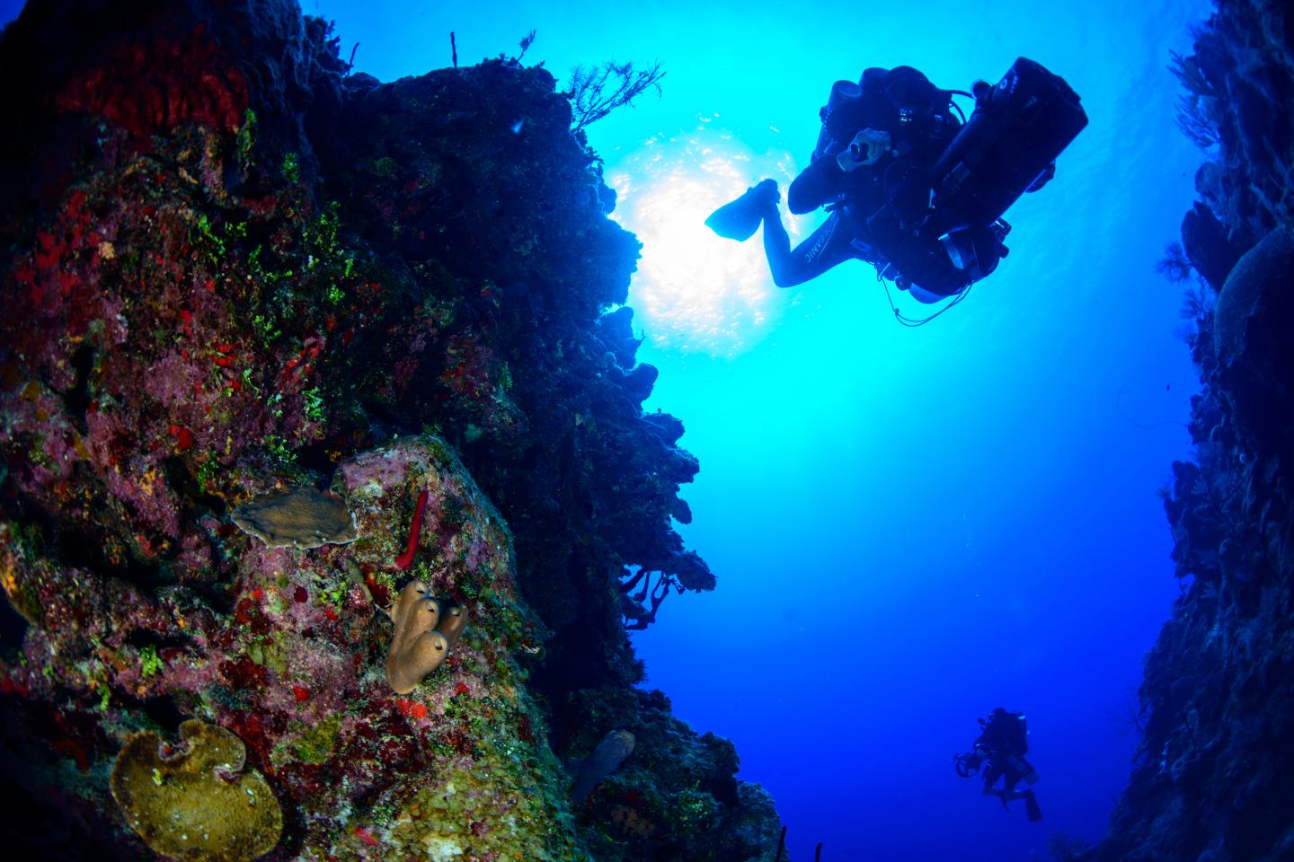 Grand Cayman Descent