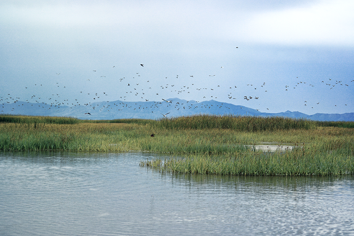 Great Salt Lake