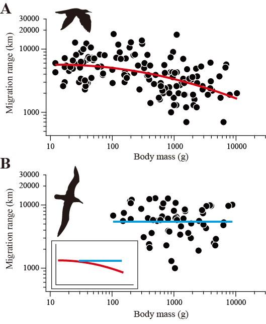 Migration Range as a Function of Body Mass for Flapping Birds and Soaring Birds