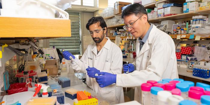 Hajam and Tsai in lab