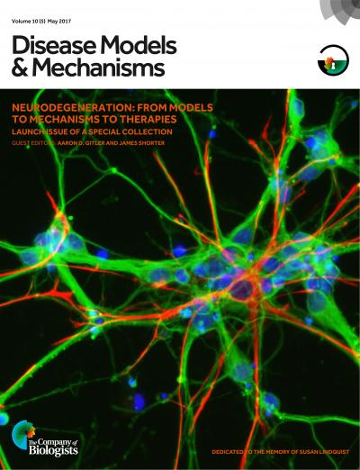 The Cover of the DMM Special Issue