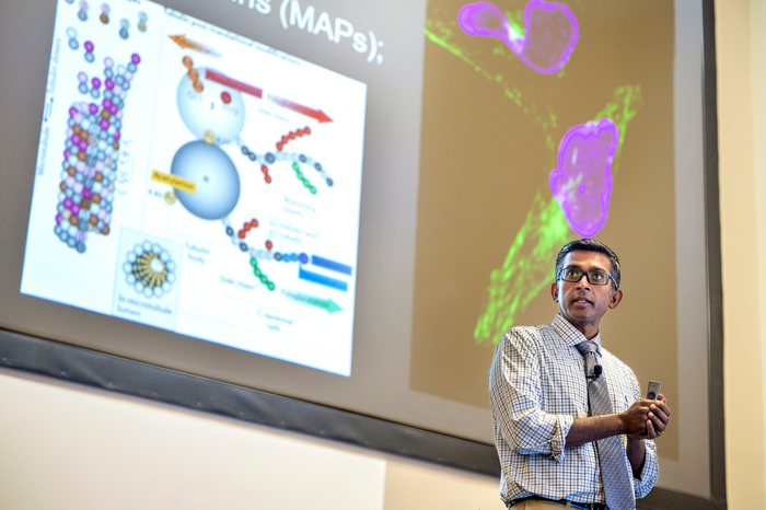 Scientists chase down what motor proteins deliver to healthy cells to find whats altered in neurological diseases