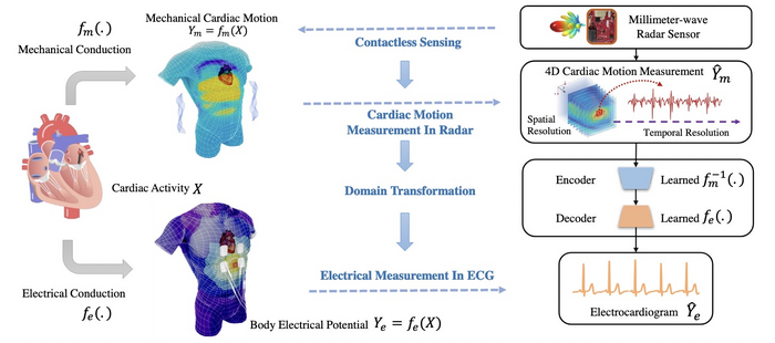 Contactless Electrocardiogram Monitoring With Millimeter Wave Radar