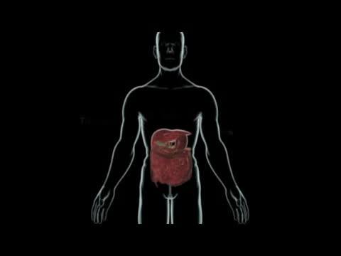 IGFBP3 Control of Colonic Stem Cells