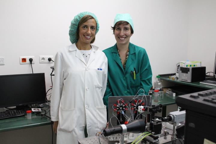 Investigators, University of Granada