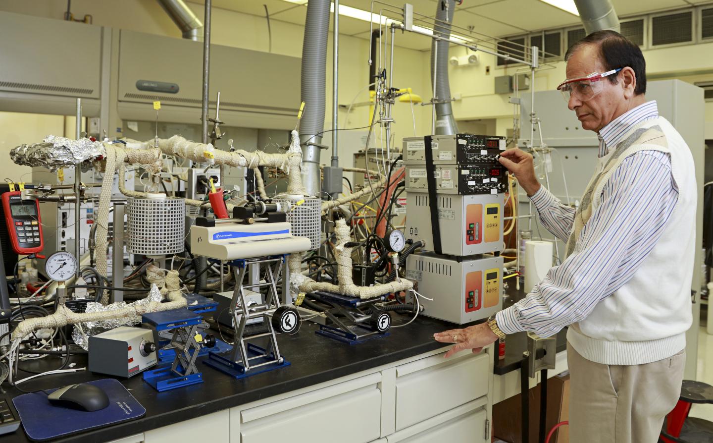 Chaitanya Narula, DOE/Oak Ridge National Laboratory