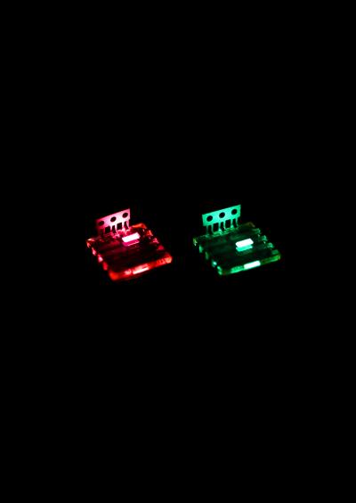LEDs Made from Perovskite