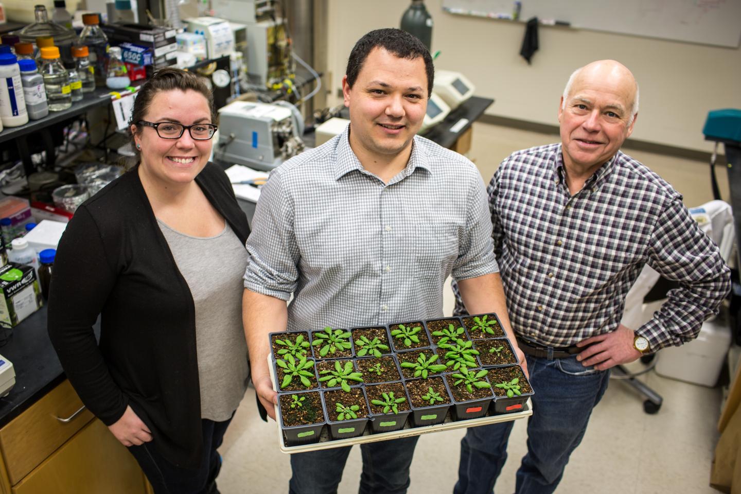 Researchers Discover Protein Key to Improving Photosynthetic Efficiency