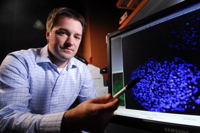 Mcdevitt and Stem Cell Aggregate Study