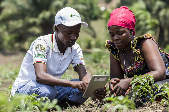 A Plantwise plant doctor advises a farmer in Burundi on how to protect her crop from pests and diseases