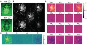 Mueller matrix imaging