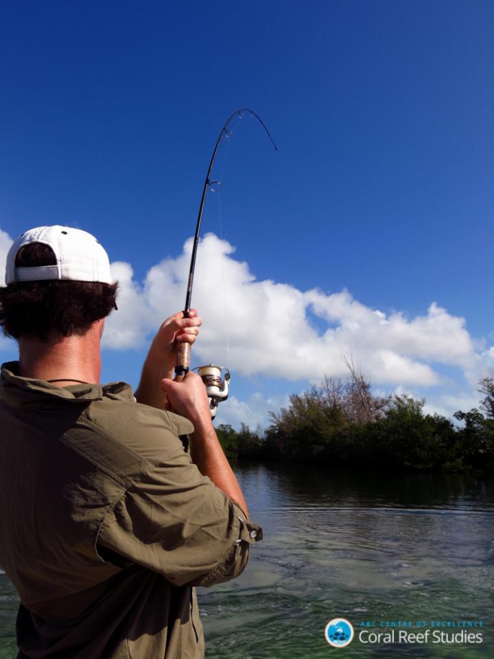 Confronting Poaching on the Great Barrier Reef