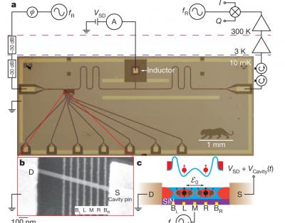 Hybrid Superconducting Circuit--Quantum Dot
