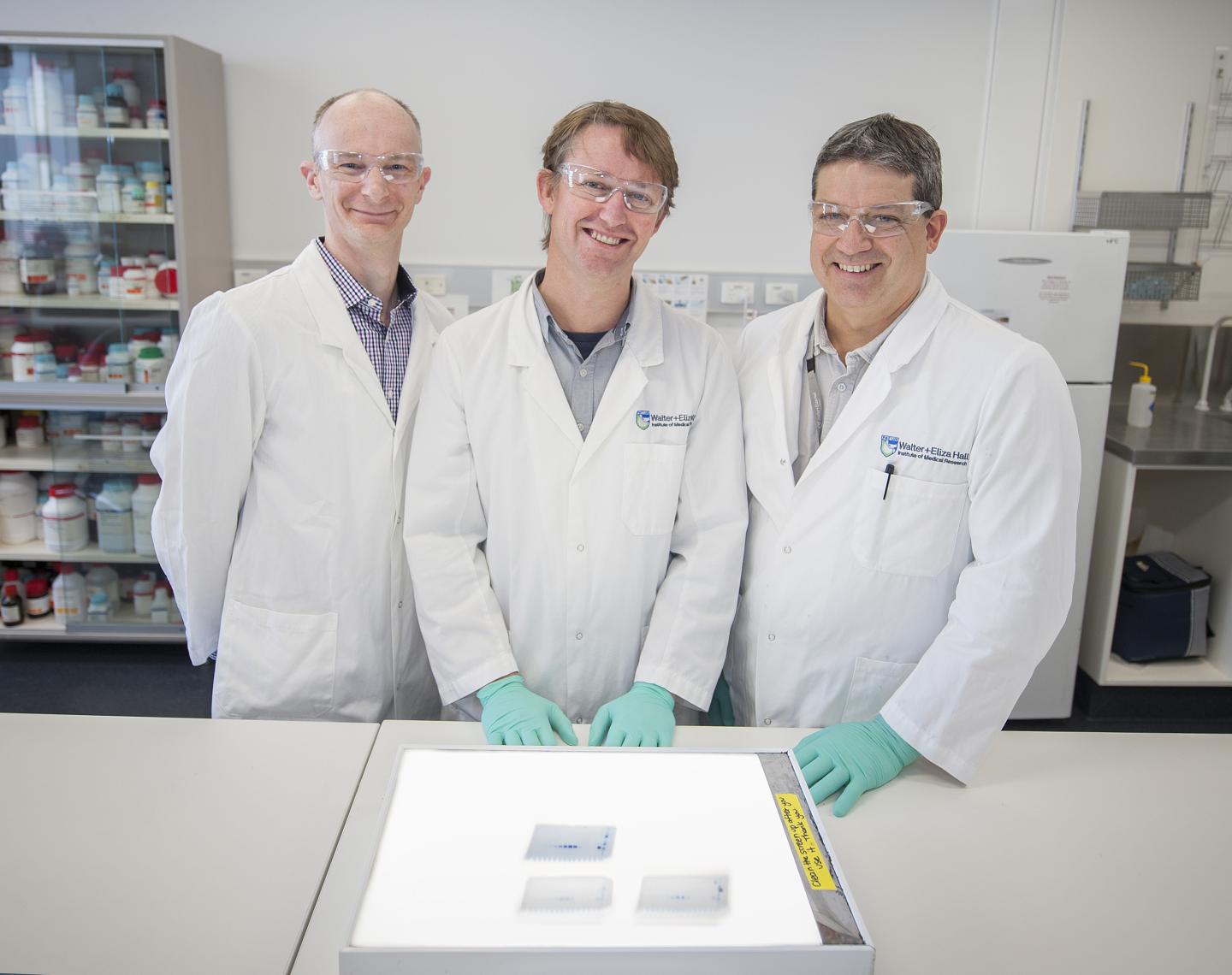 Dr Brad Sleebs (left), Dr Peter Czabotar (centre) and Dr Tony Hodder (right)