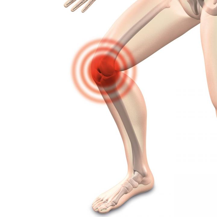 Knee Joint Injuries