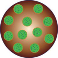 A Drug-Ladened Microparticle
