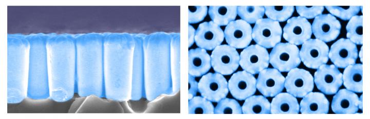 SEM of Nanotube Array