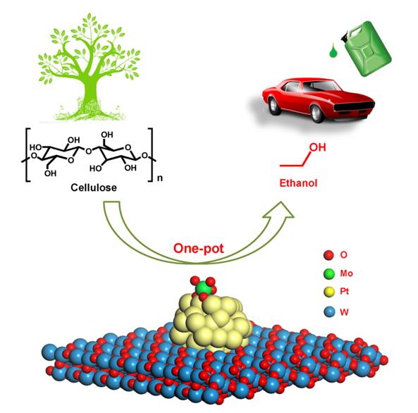 One-Pot Production of Cellulosic Ethanol