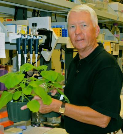 Charles Arntzen, American Chemical Society