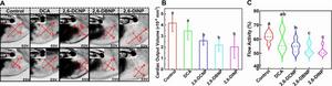 Impacts of 2,6-DHNPs and DCA exposures on the cardiac output (A and B) at 48 hours post-fertilization (hpf) and blood flow (C) at 72 hpf.