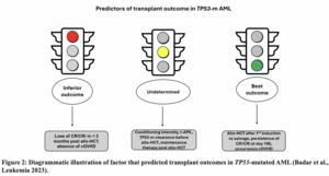 Transplant or no transplant for TP53 mutated AML