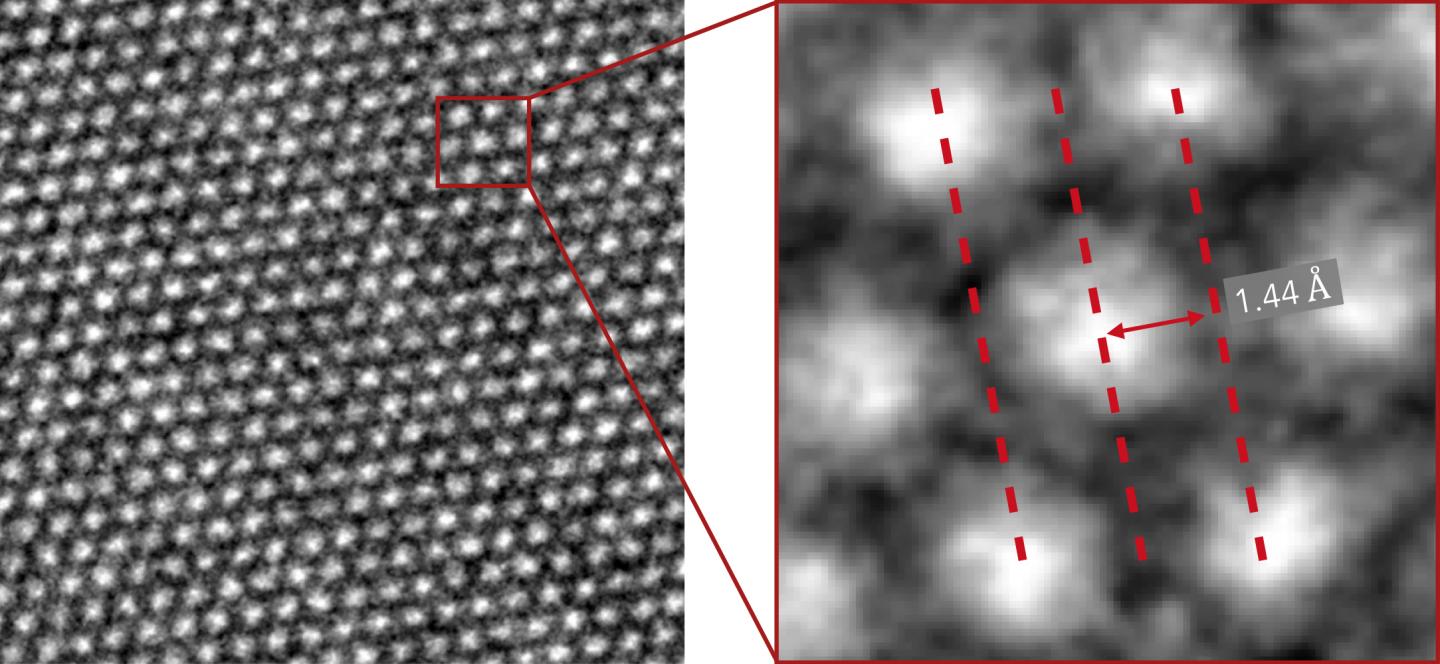 Cryo-EM View of Dendrite