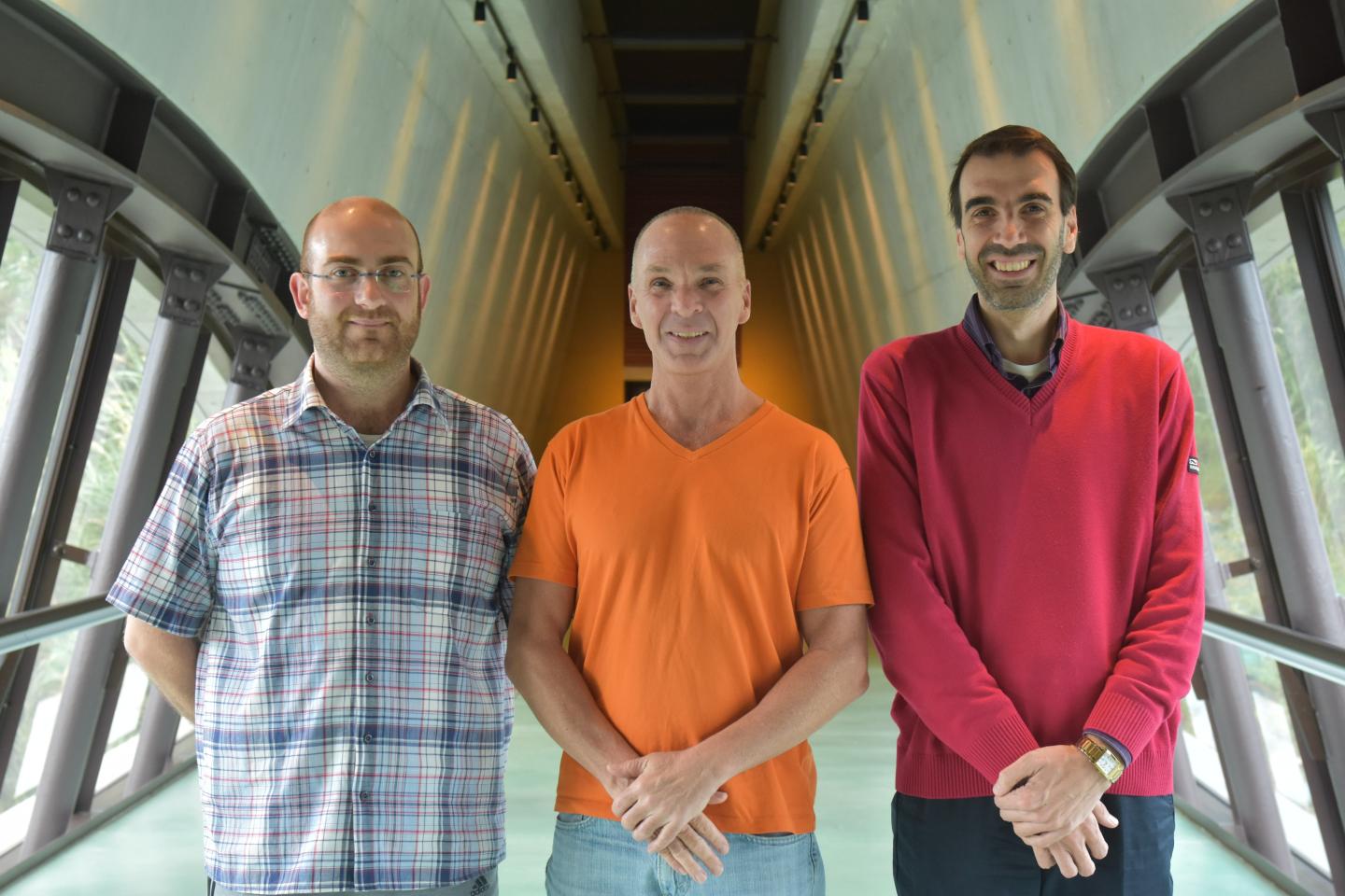 Researchers who Solved the Kirchhoff-Plateau Problem
